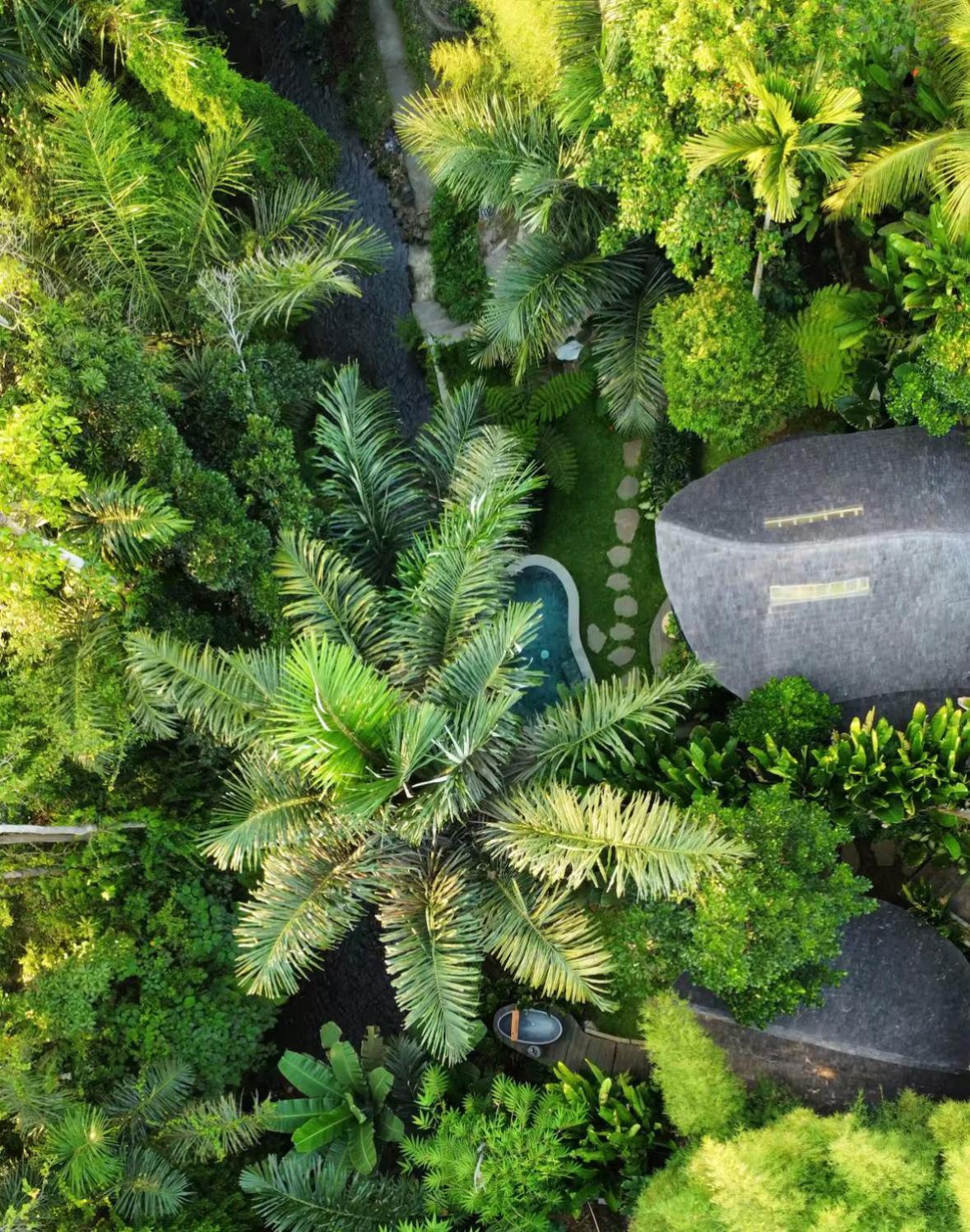 Вилла Wahem Eco Bamboo - Magical Bamboo House Убуд Экстерьер фото